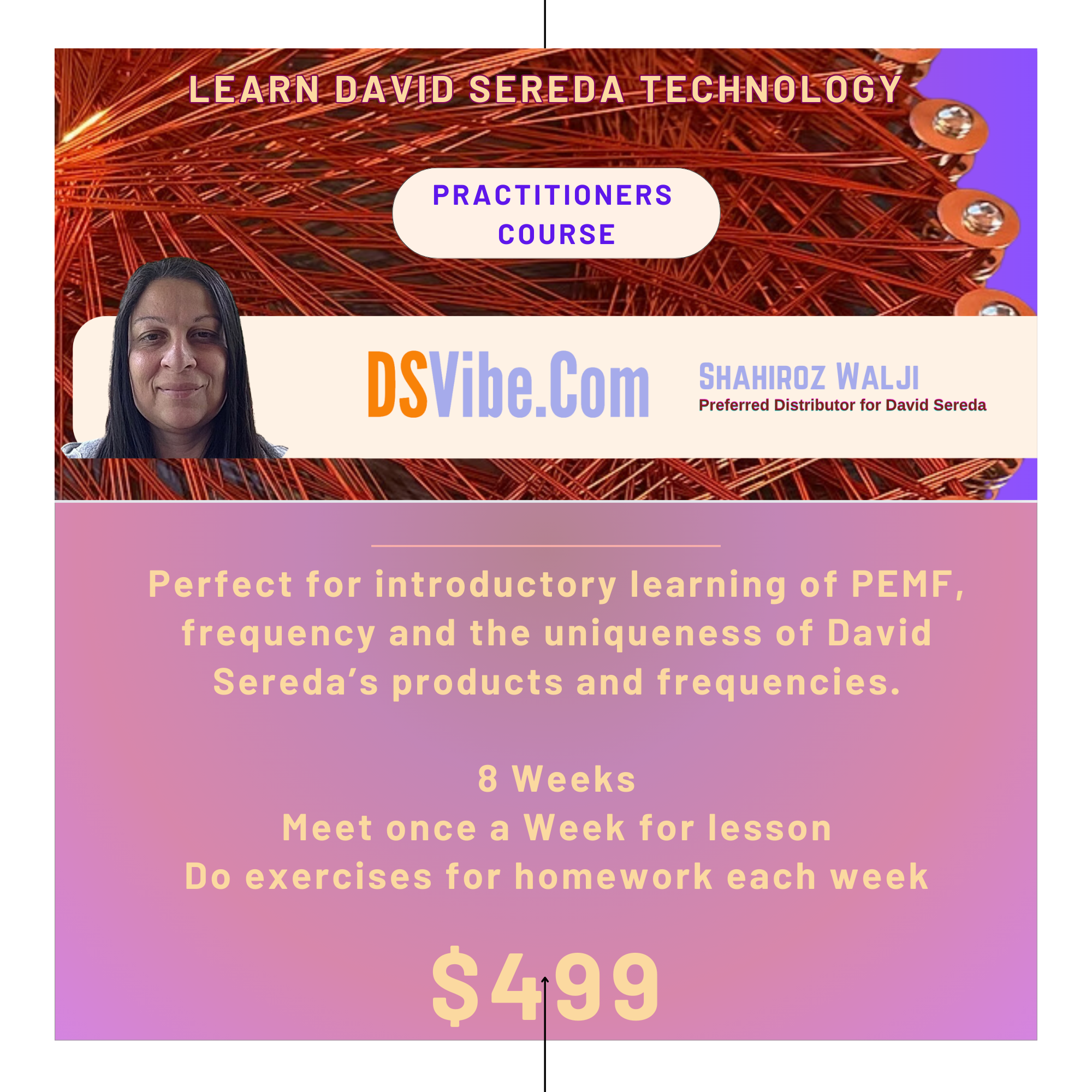 Practitioner course