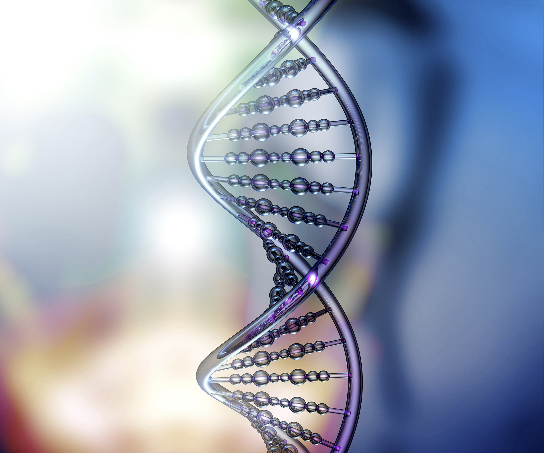 DNA Activation Family Monthly for 3 or more